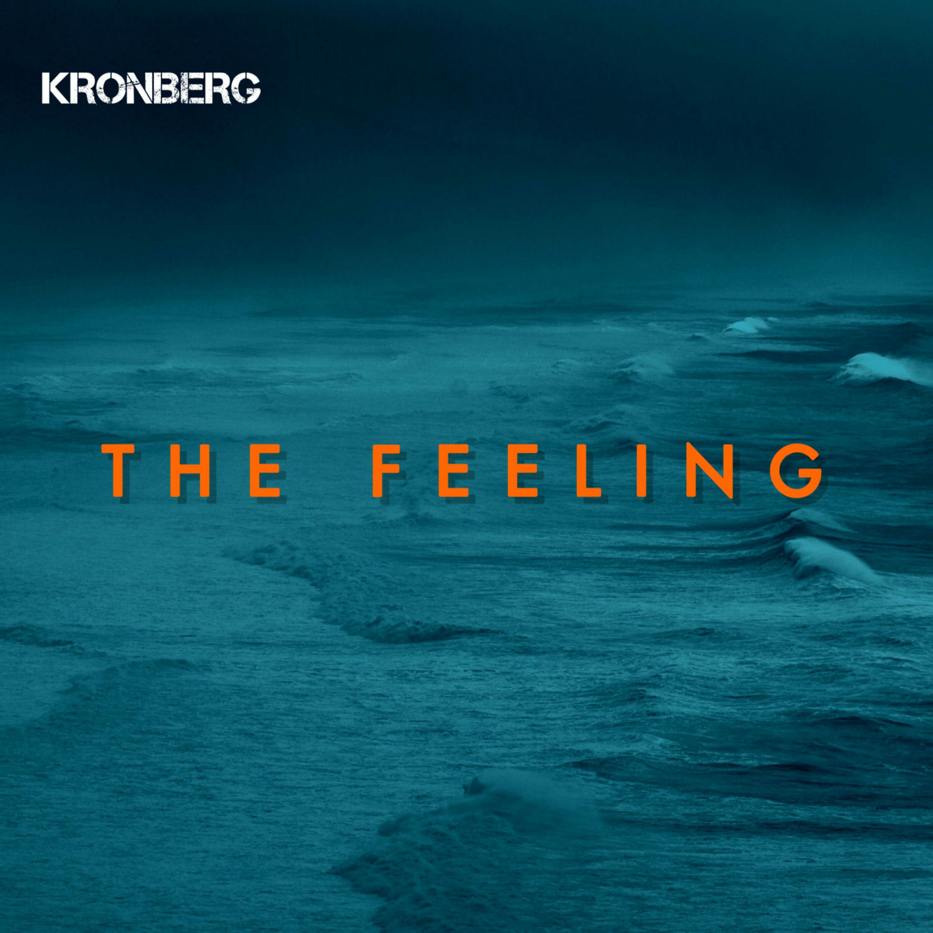 Album cover of The feeling (feat. Tania She)