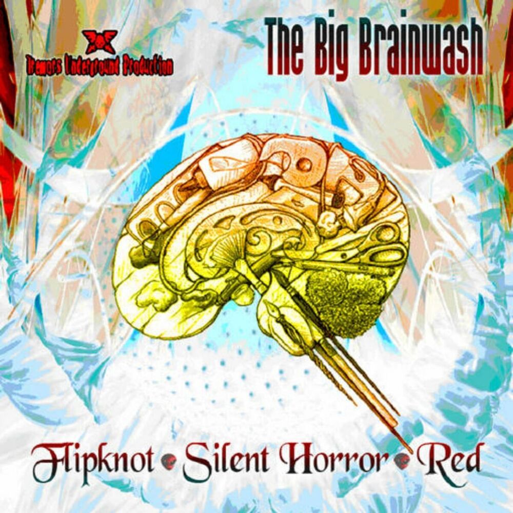 Picture of The Big Brainwash