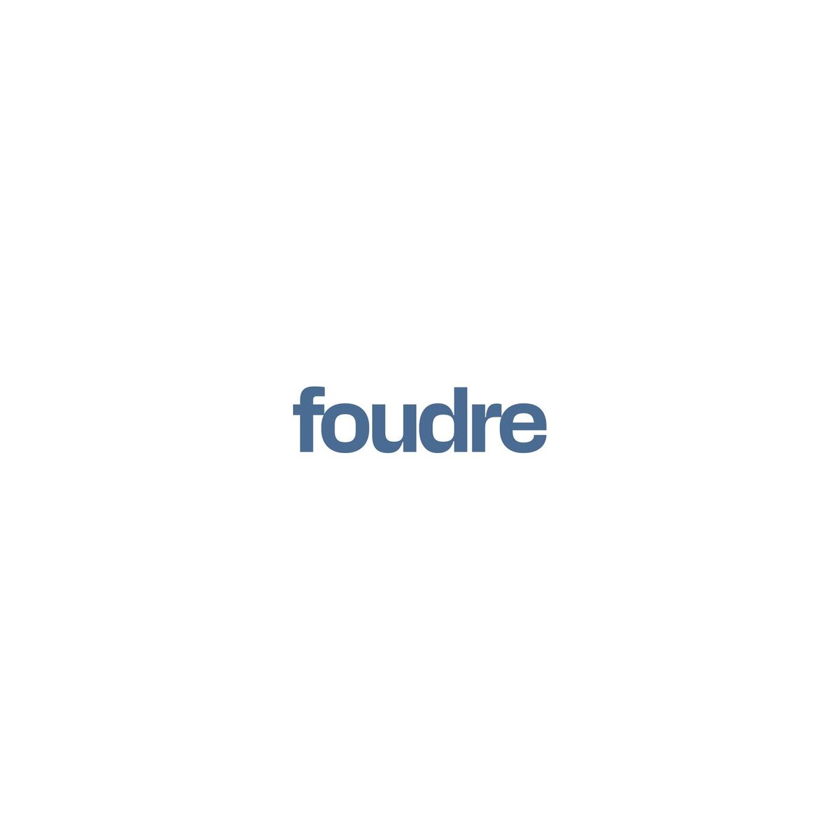 Album cover of foudre
