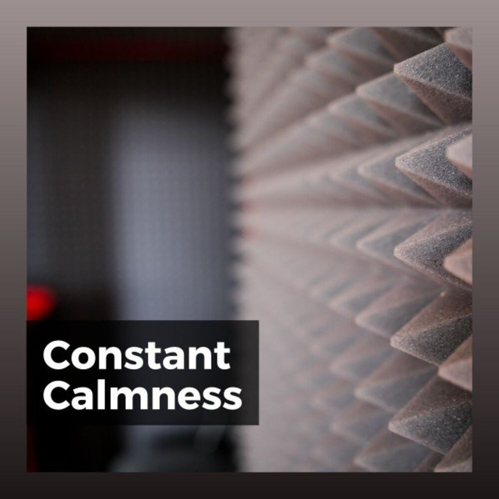 Picture of Constant Calmness