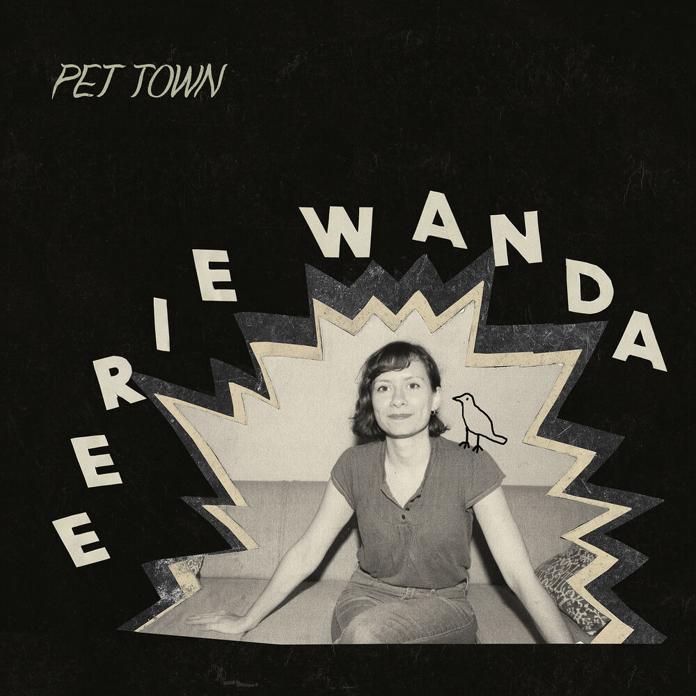 Picture of Pet Town