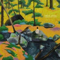 Cover of Resonant Body