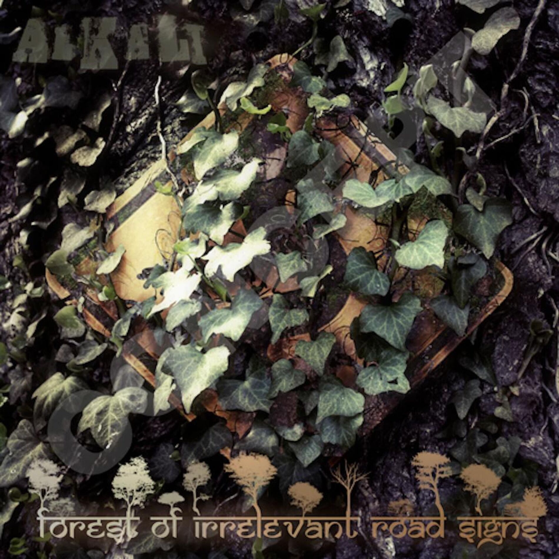 Album cover of The Forest of Irrelevant Road Signs