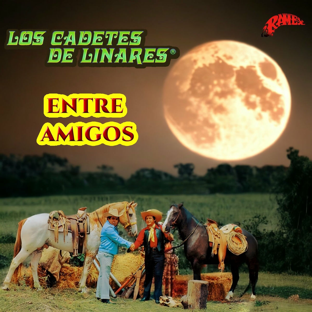 Album cover of Entre Amigos