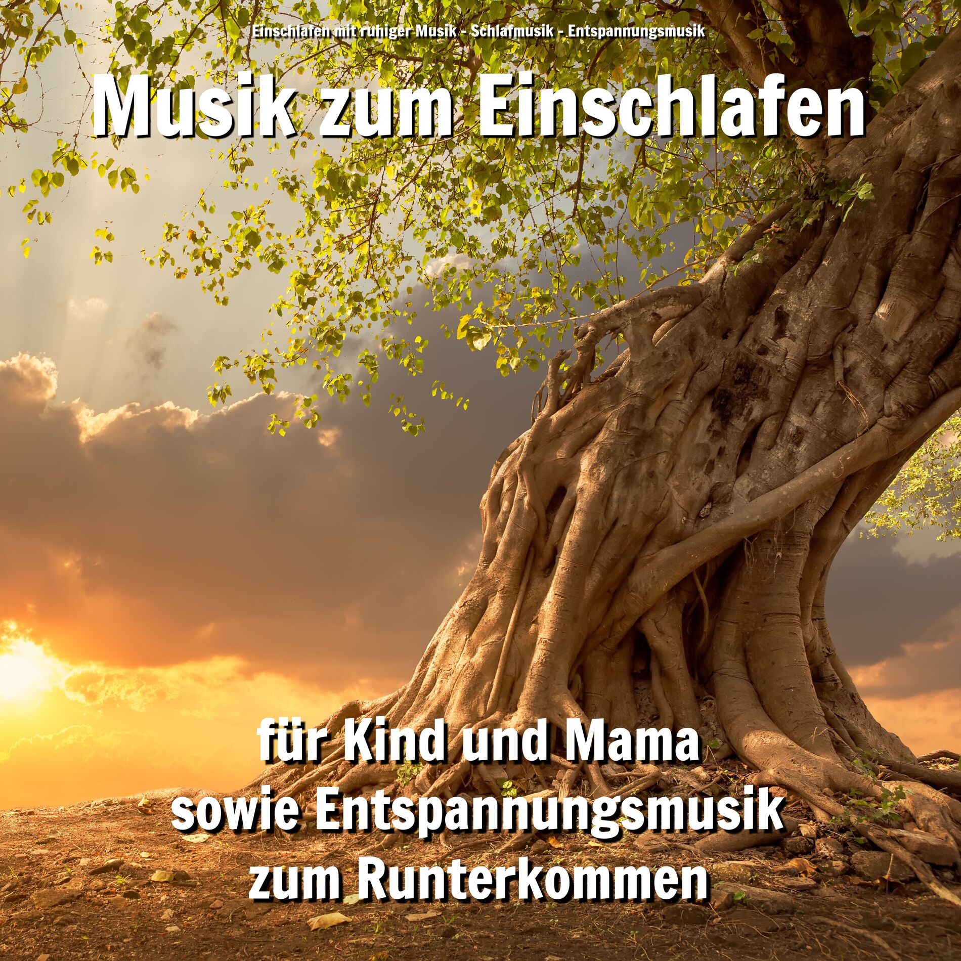 Album cover of Stressfrei auf der Hängematte
