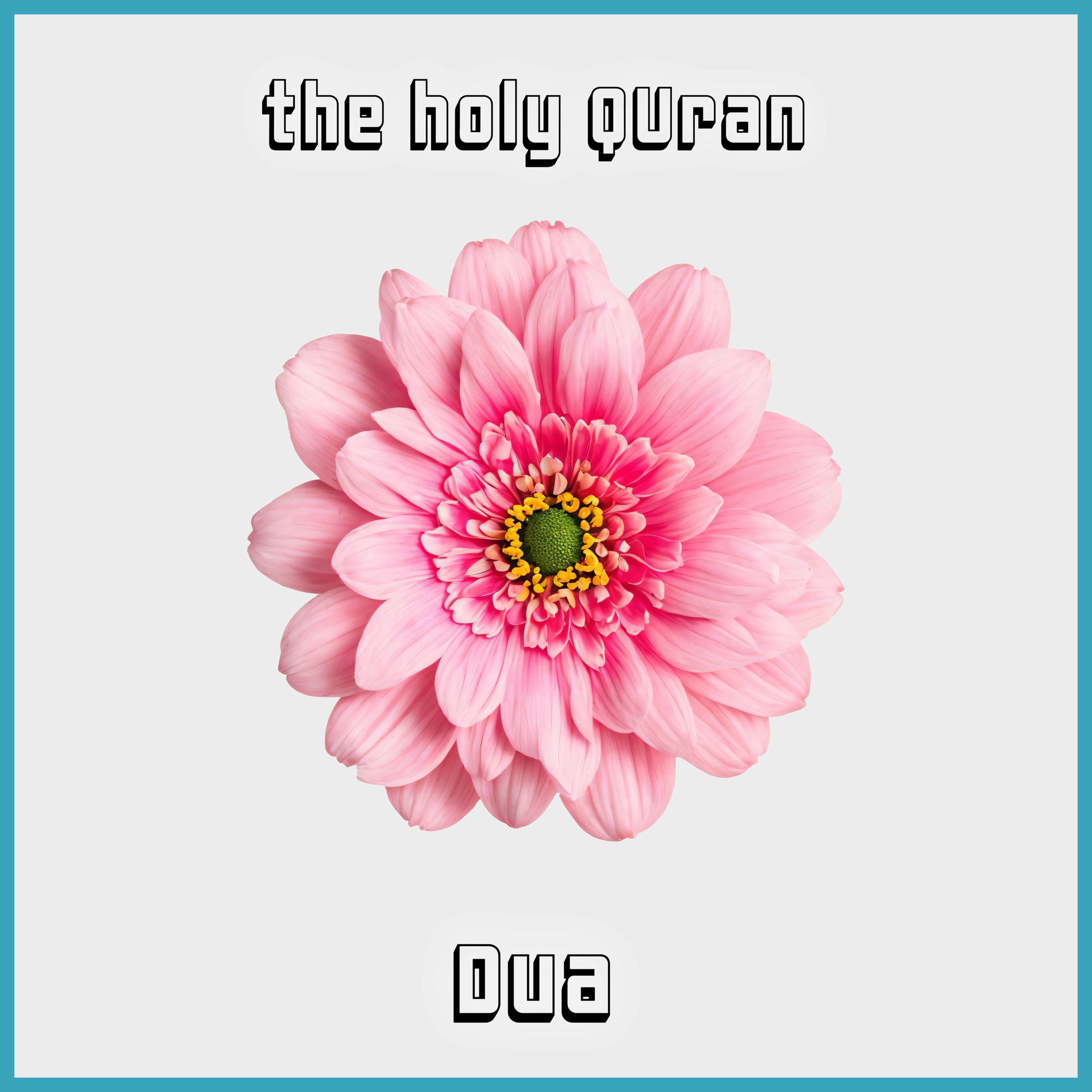 Album cover of Dua