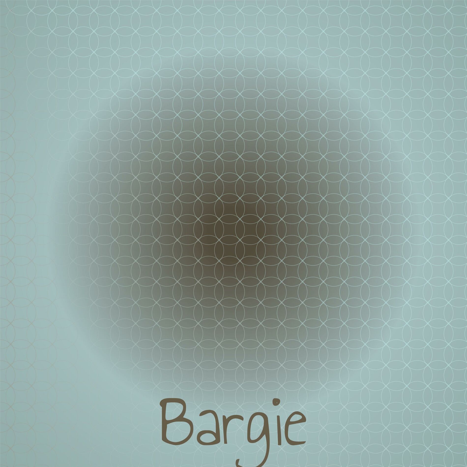 Album cover of Bargie