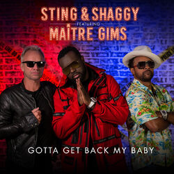 Cover of Gotta Get Back My Baby