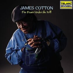 Cover of Fire Down Under The Hill