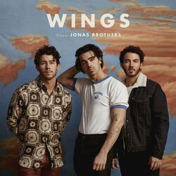 Cover of Wings