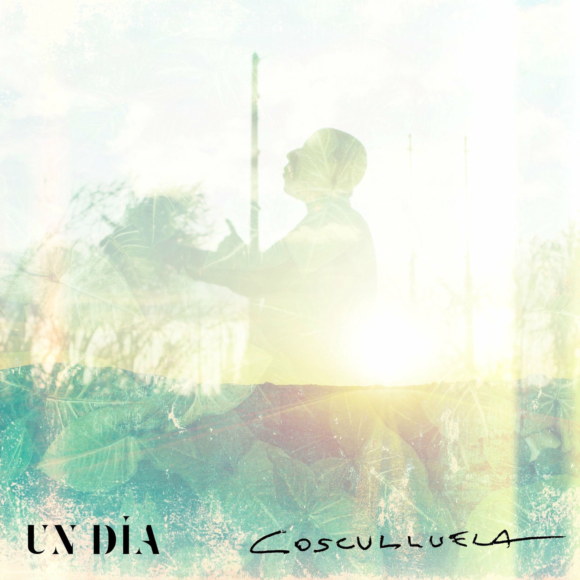 Album cover of Un Día