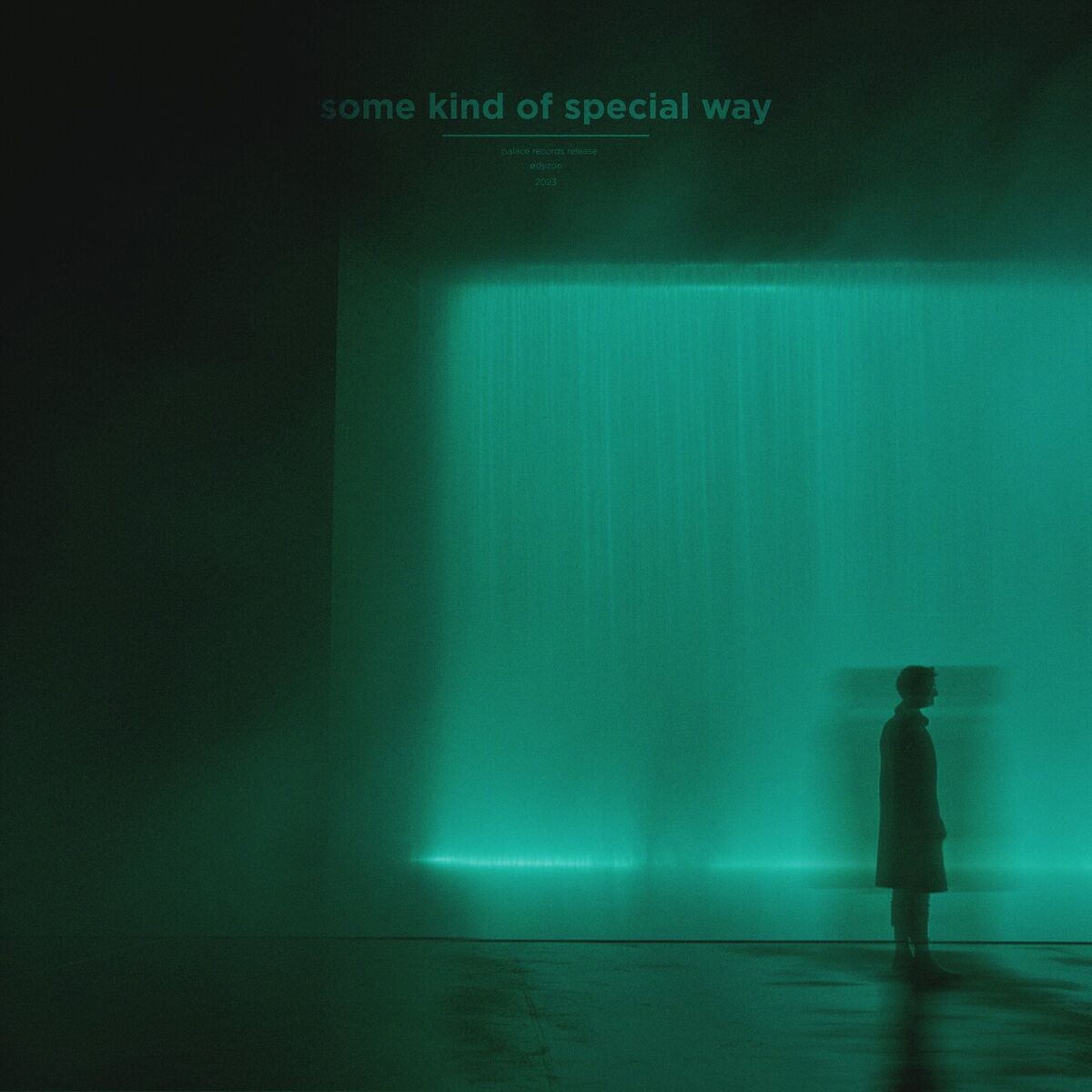 Album cover of some kind of special way (Remixes)