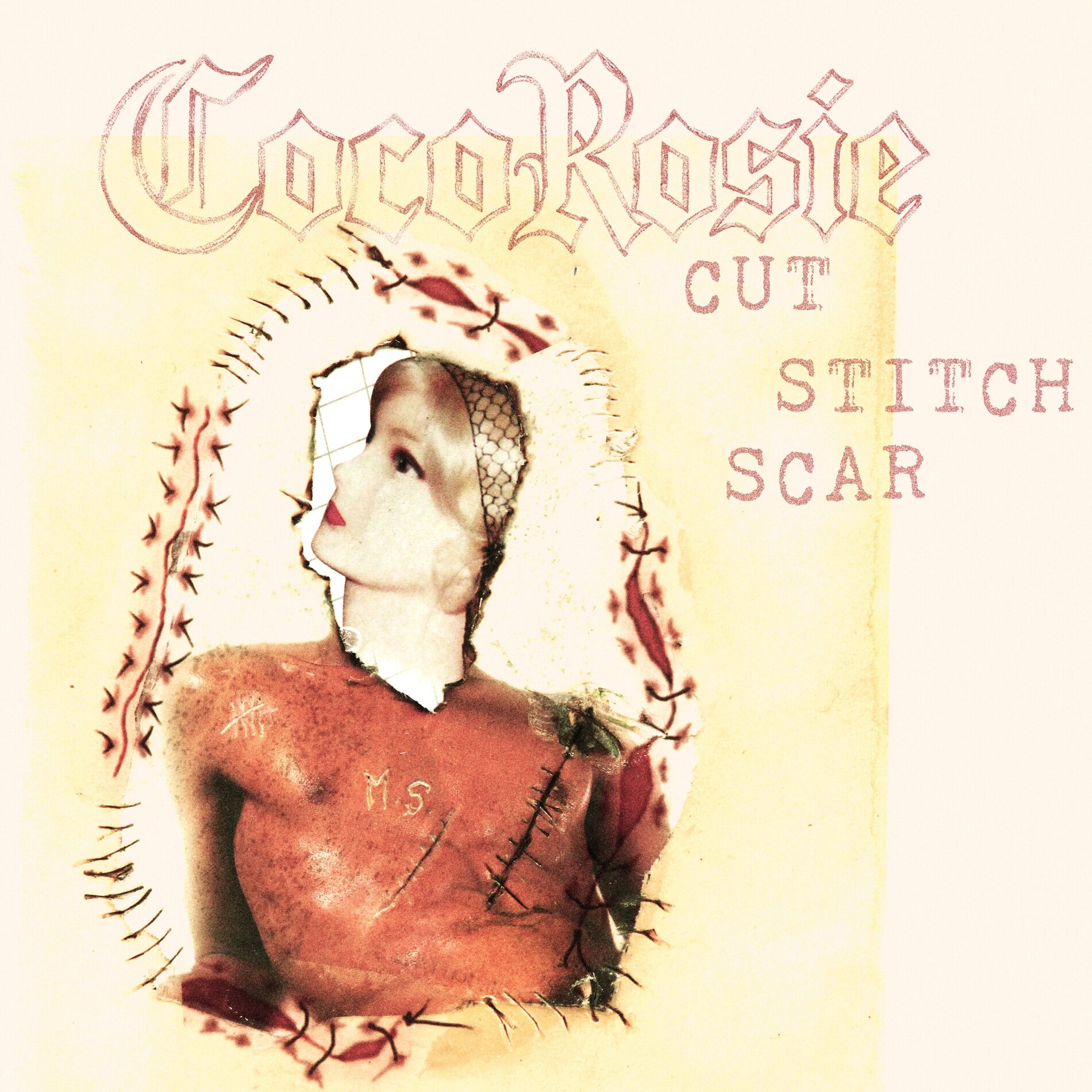 Album cover of Cut Stitch Scar