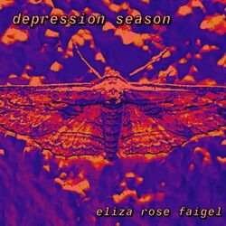 Cover of depression season