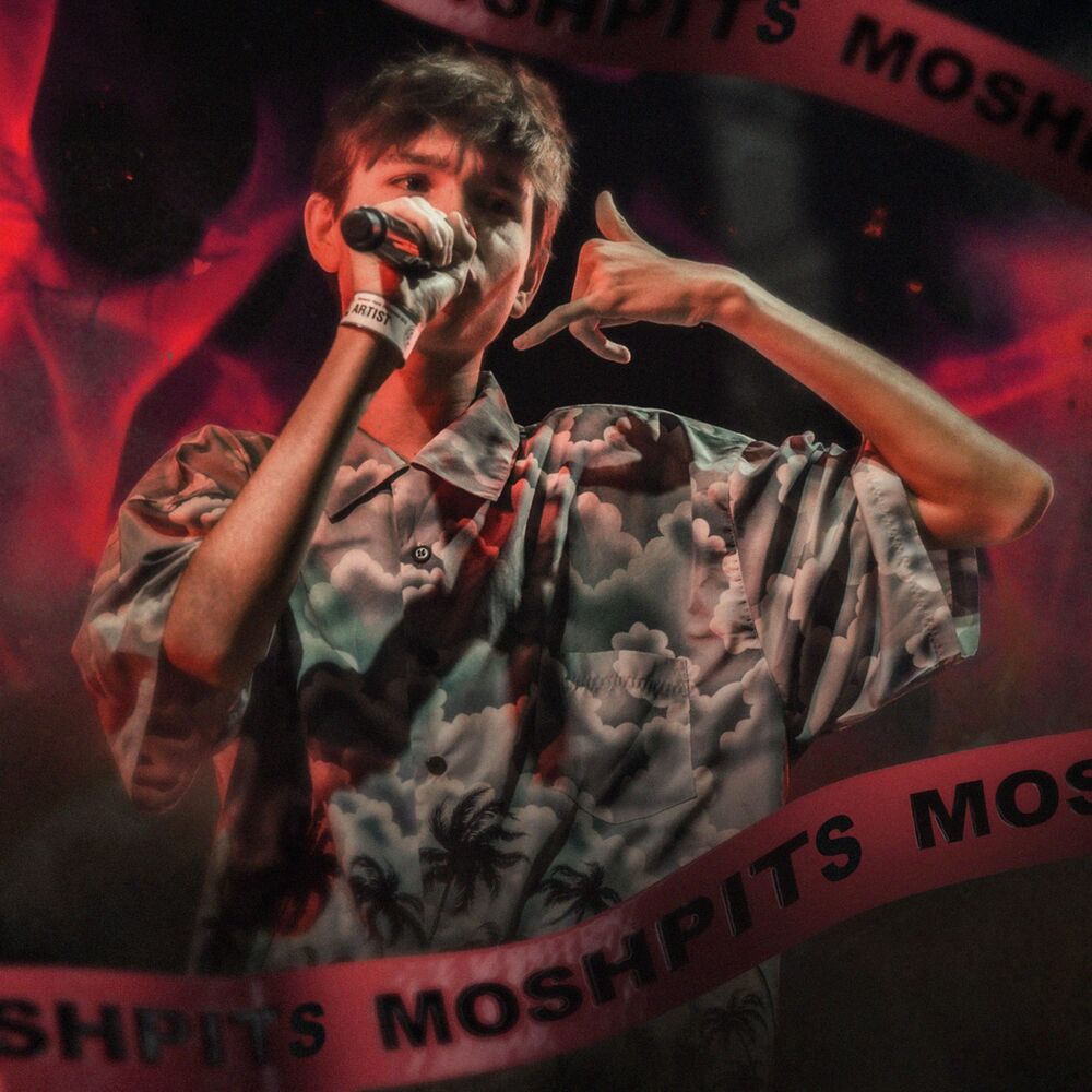 Picture of MOSHPITS