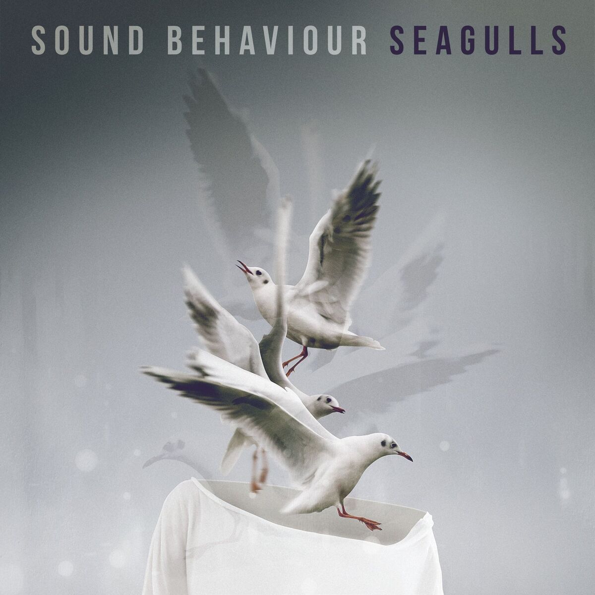 Album cover of Seagulls