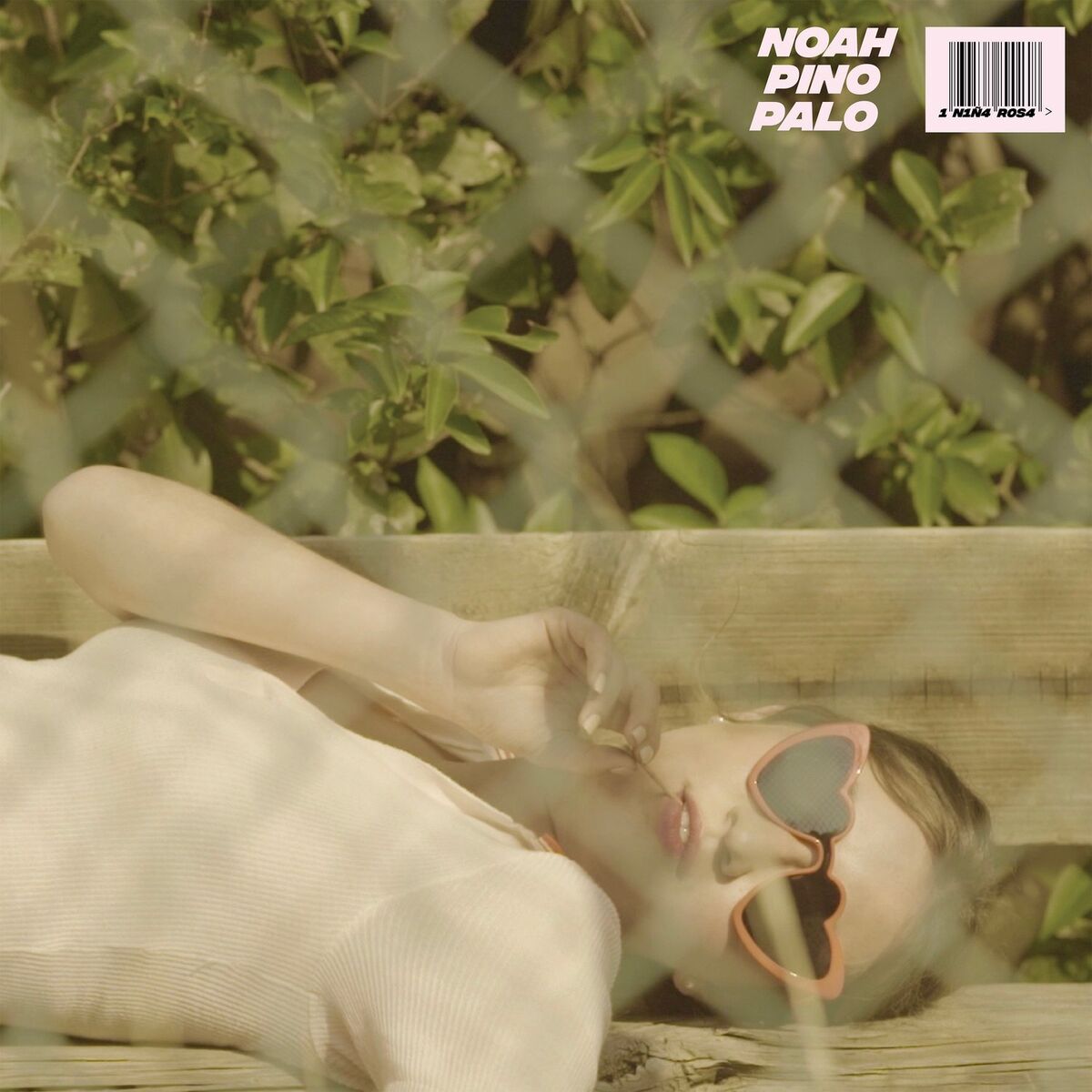 Album cover of Niña Rosa