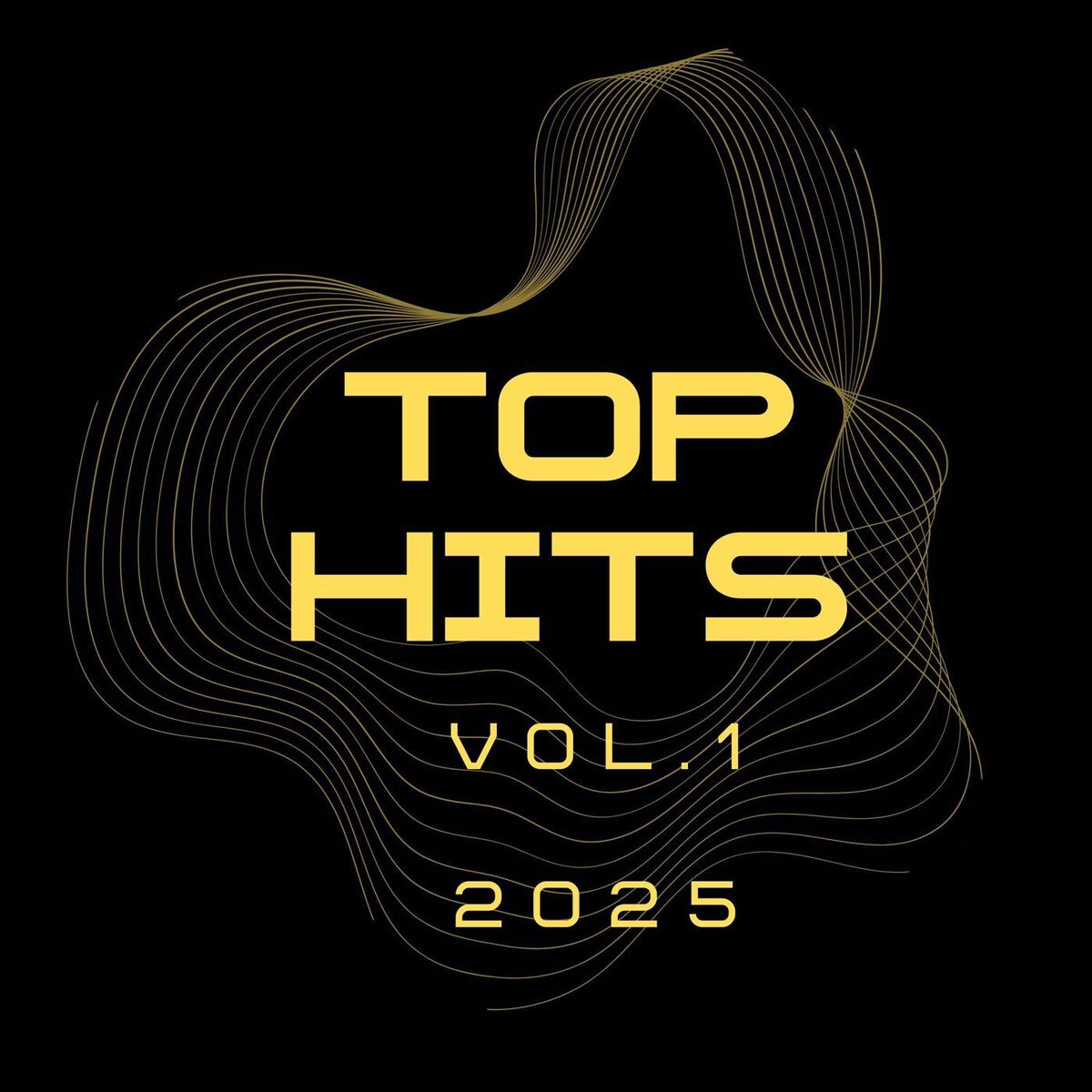 Album cover of TOP HITS VOL.1 2025