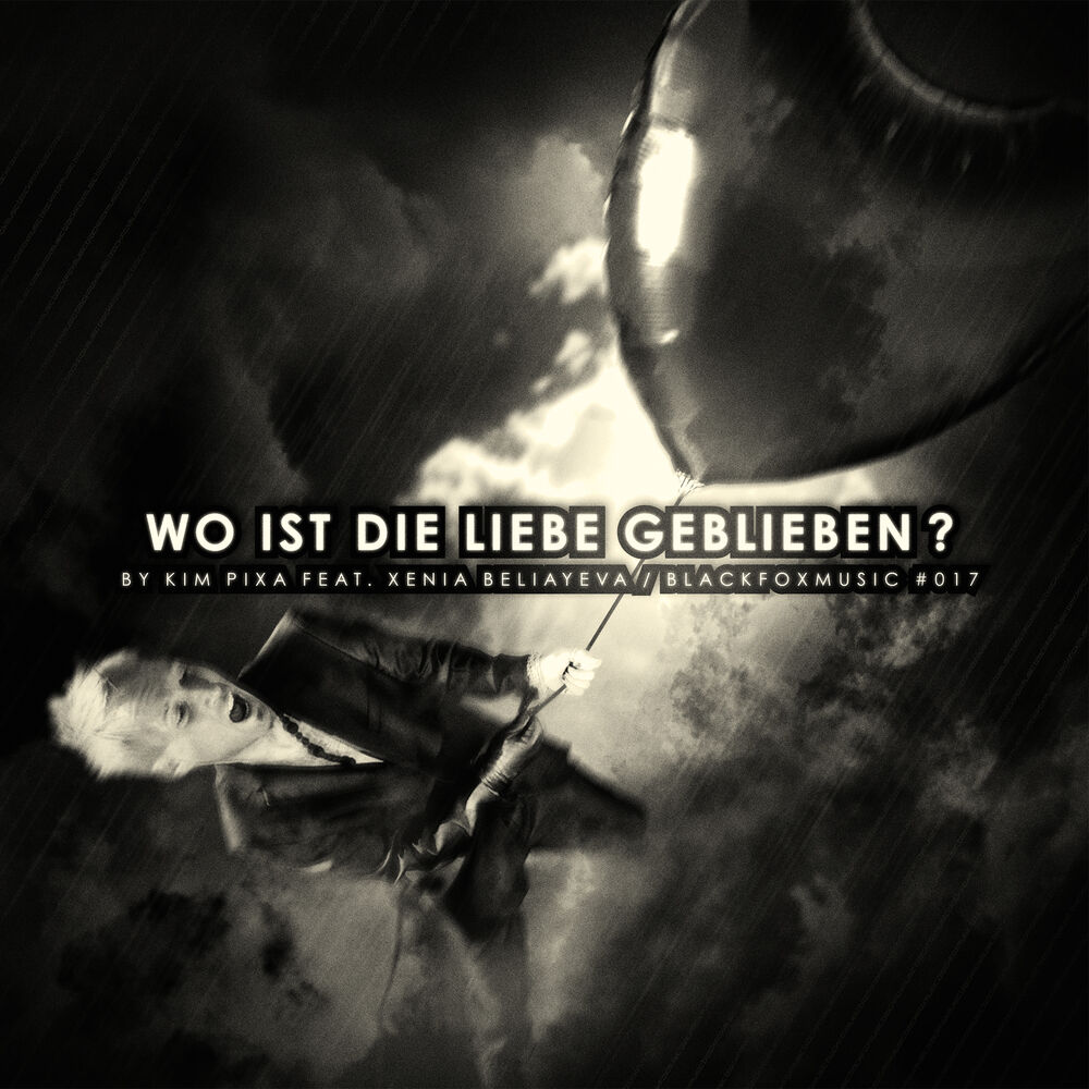 Picture of Wo ist die Liebe geblieben?