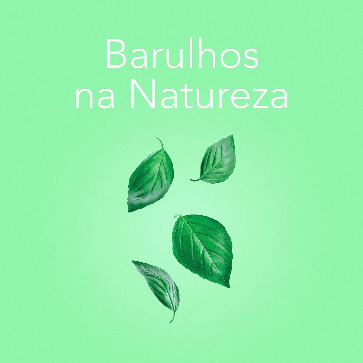 Album cover of Pássaros na Gruta