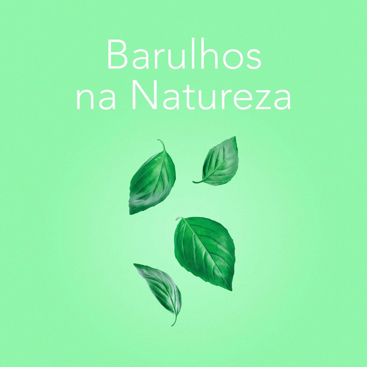 Album picture of Barulhos da Natureza