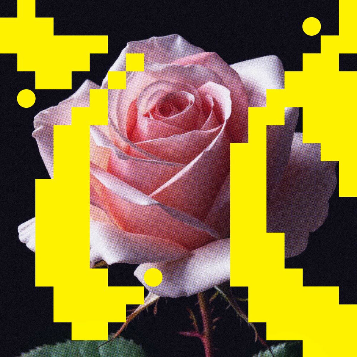 Album cover of Now, There, Forever