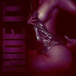 Cover of Ride It