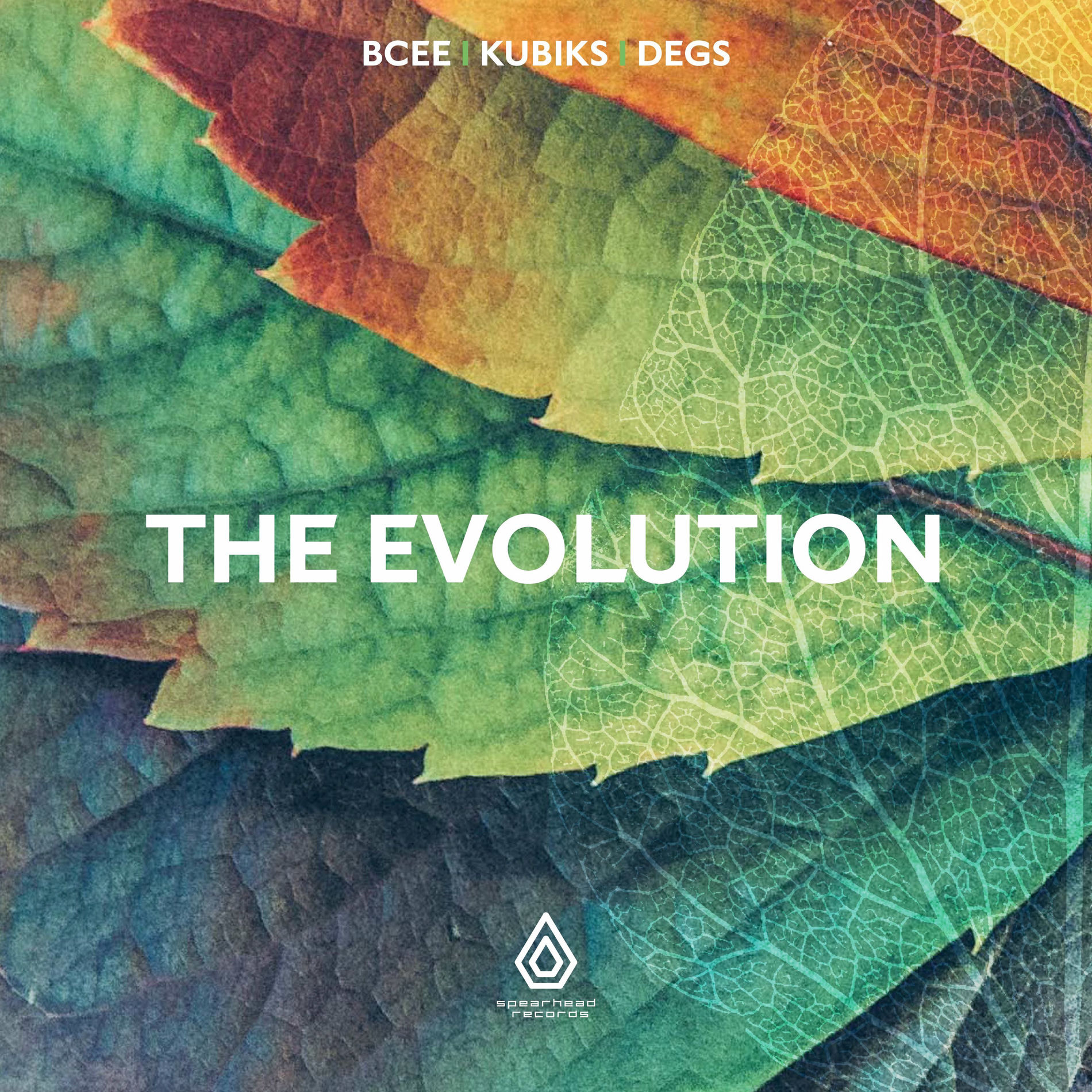 Album cover of The Evolution