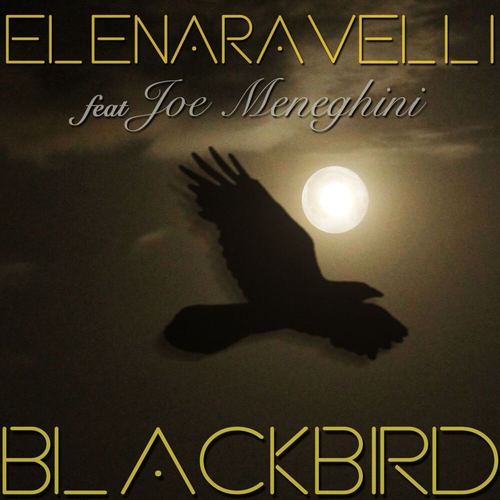 Picture of Blackbird