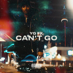 Cover of Can't Go