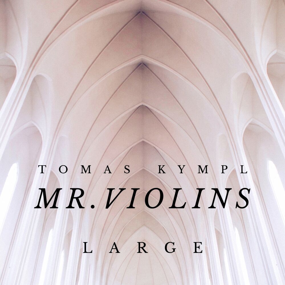 Picture of Mr. Violins (Large)