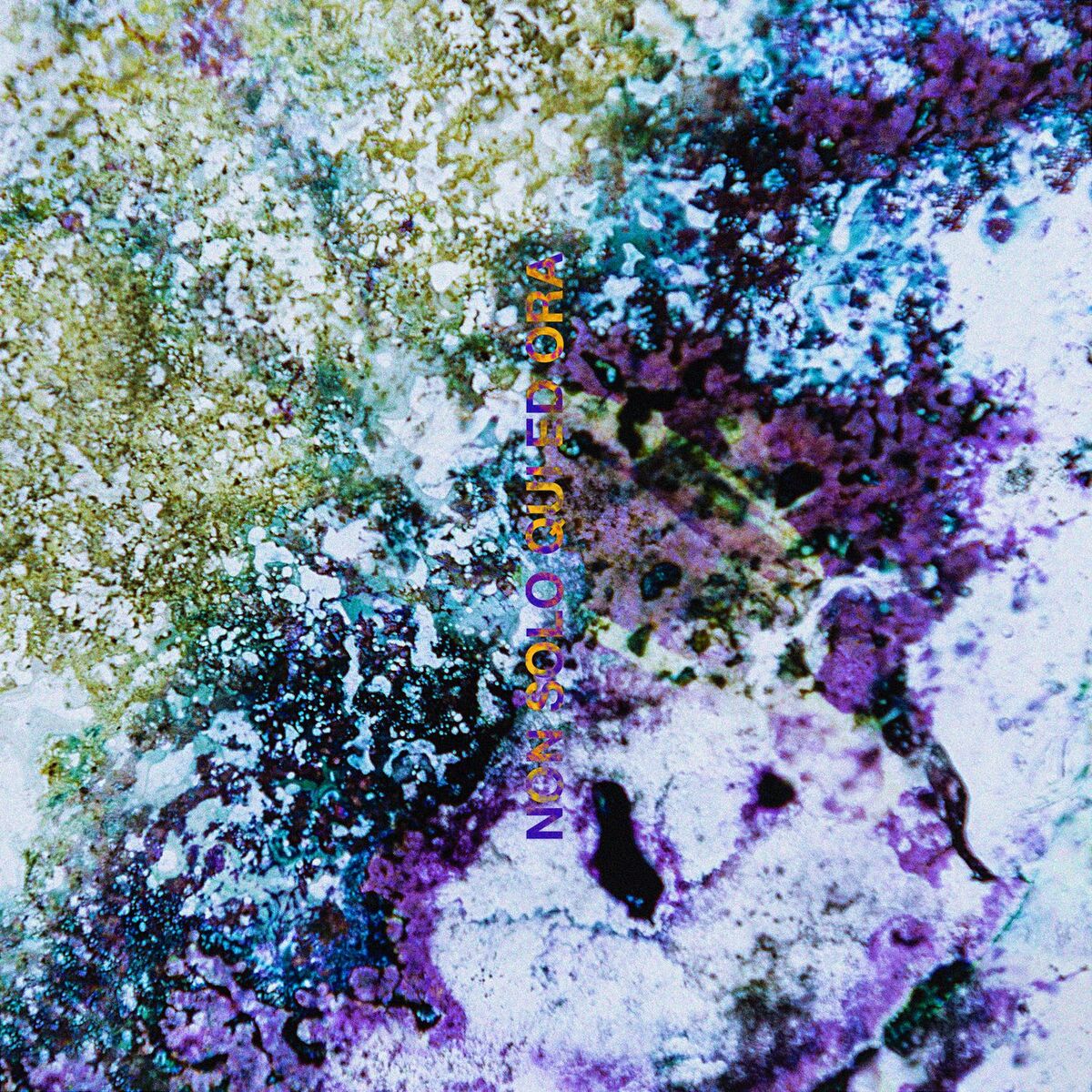 Album cover of Non solo qui ed ora