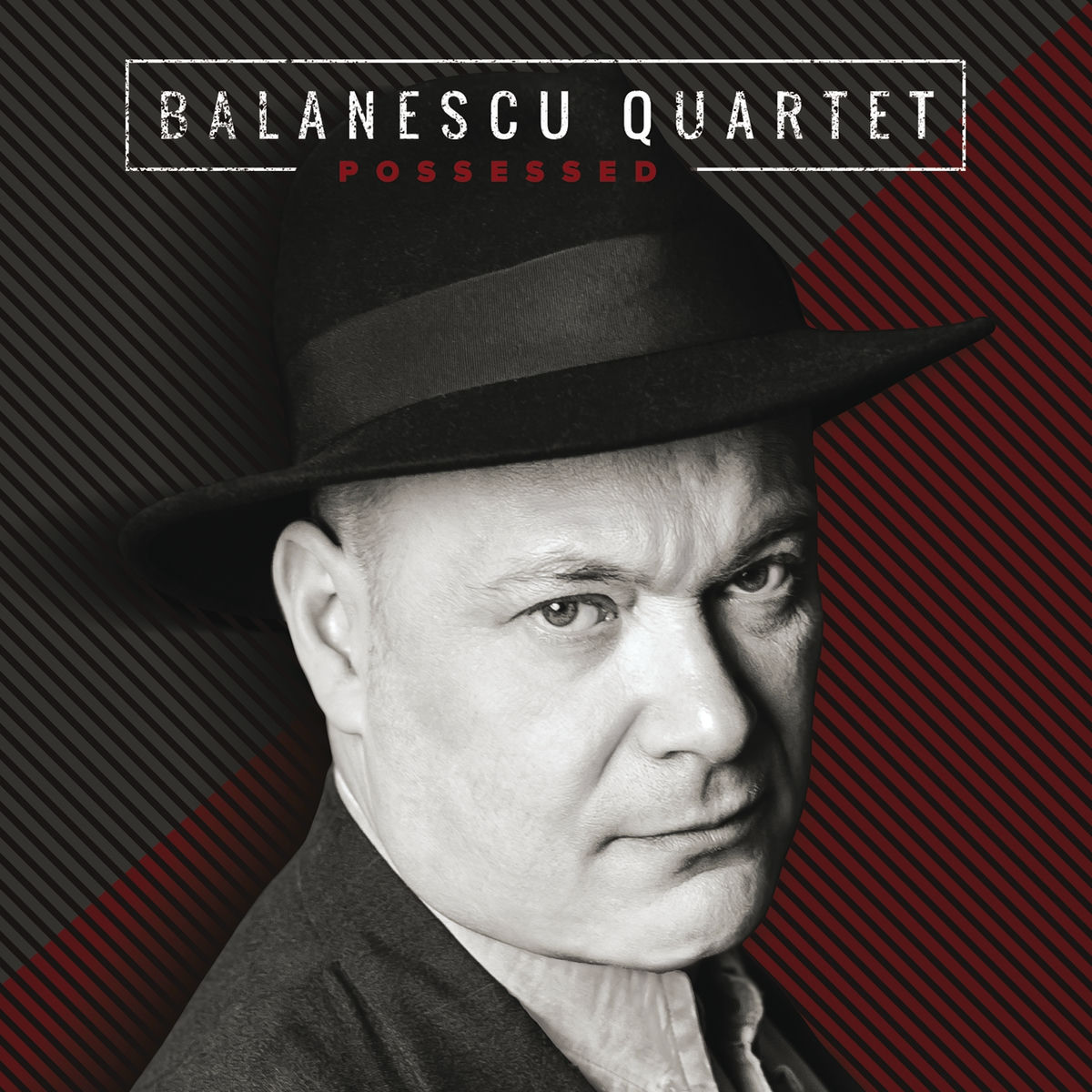 Album cover of Model