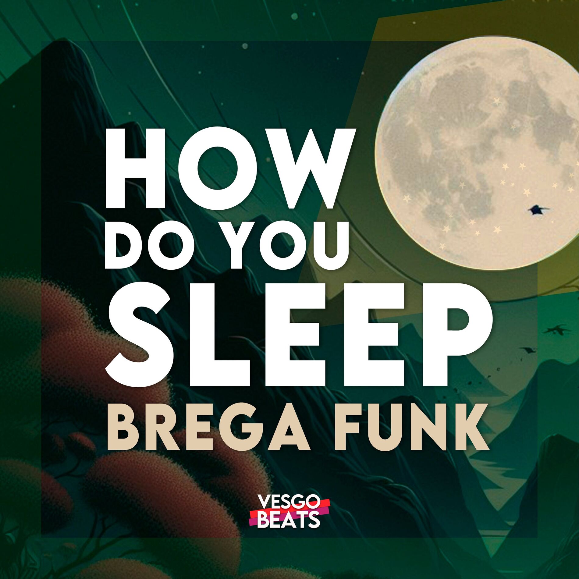 Album cover of HOW DO YOU SLEEP (BREGA FUNK)