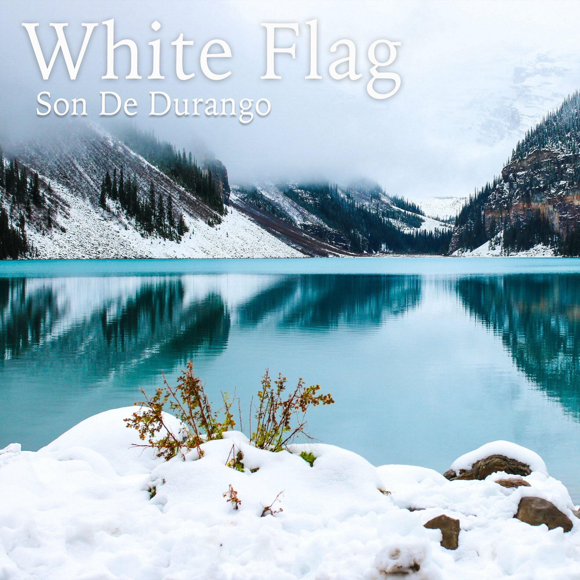 Album cover of White Flag