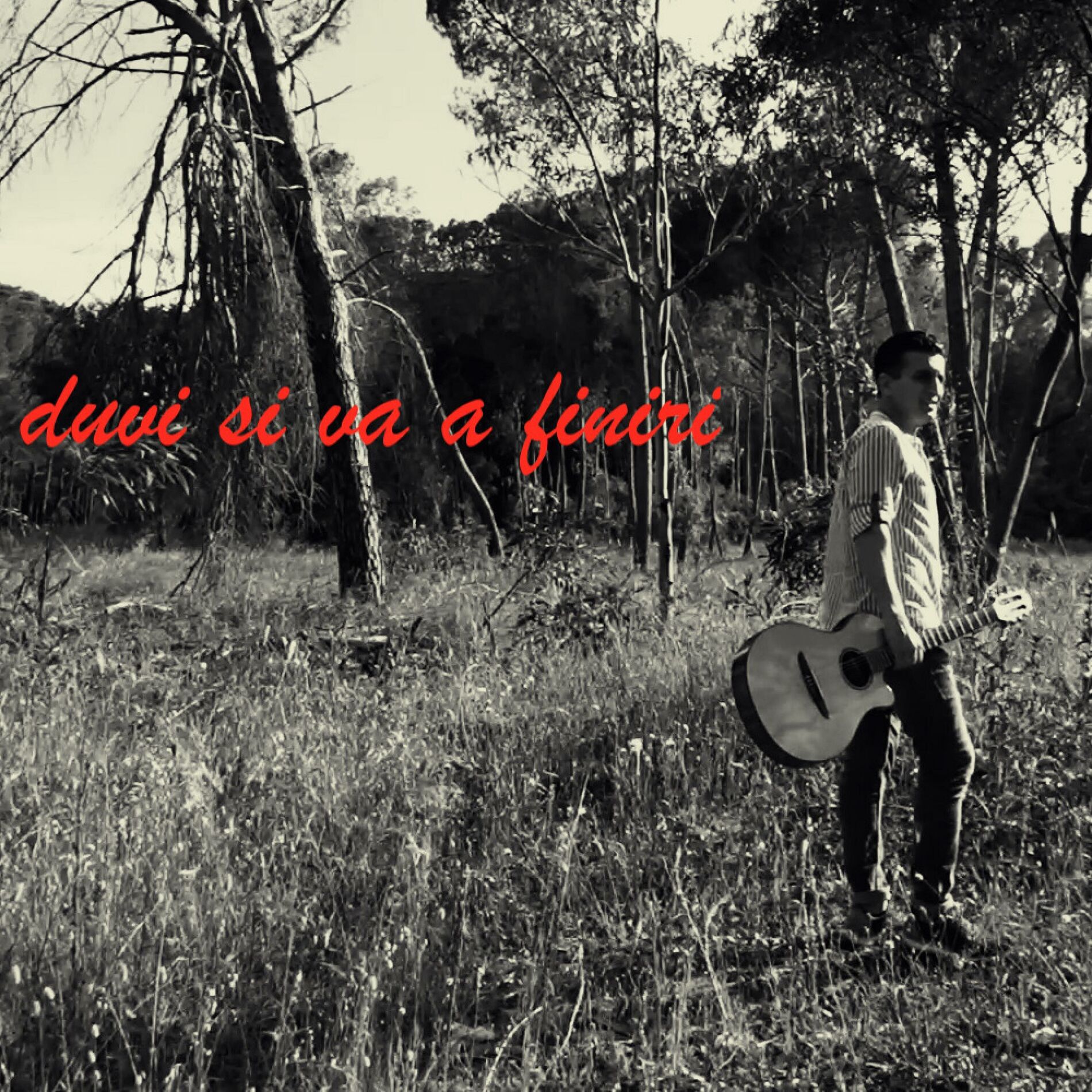 Album cover of duvi si va a finiri