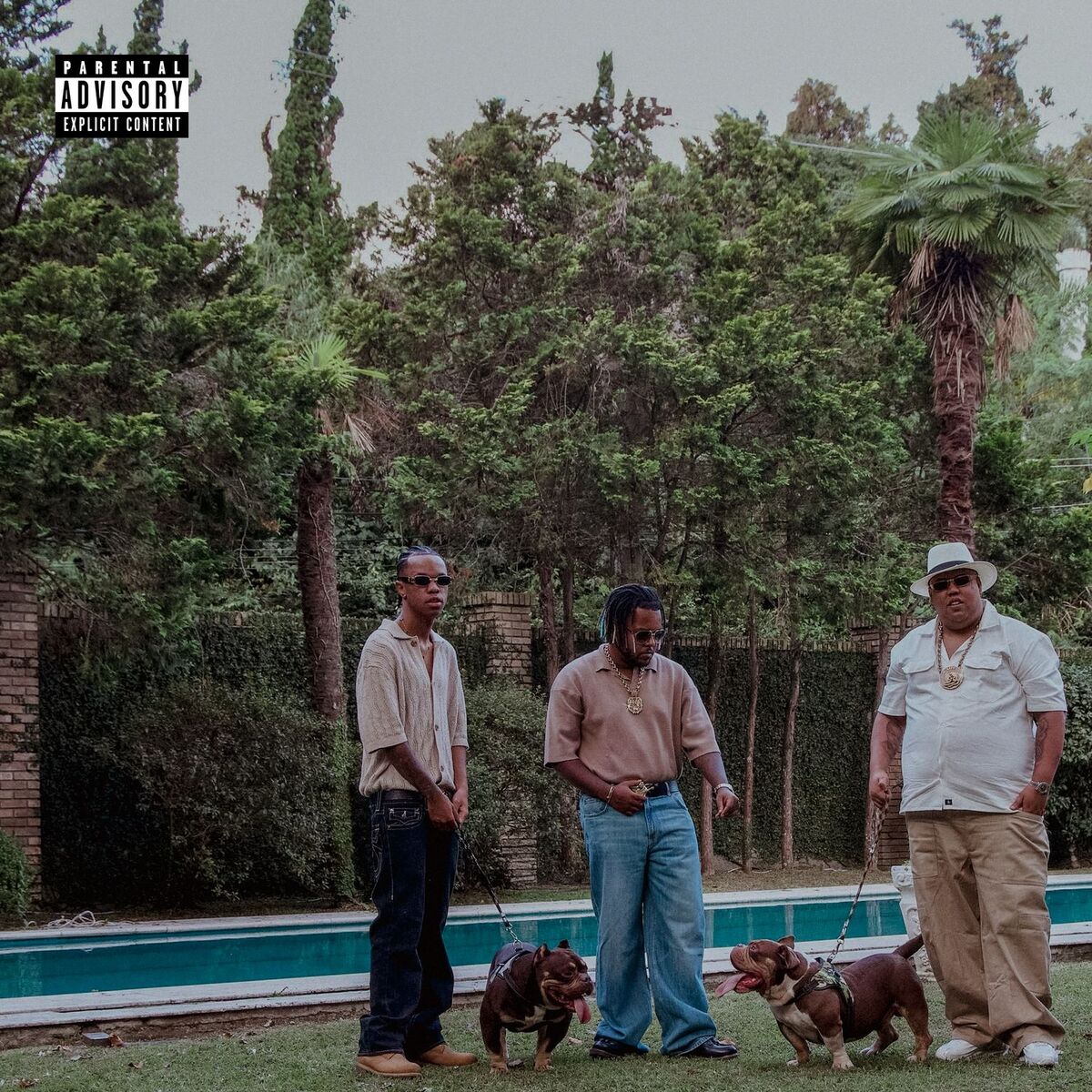 Album cover of Sem Sentimento