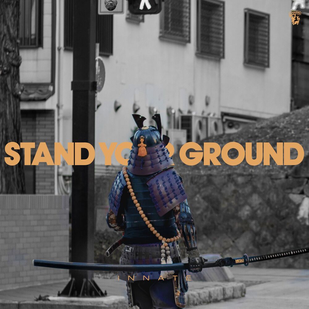 Picture of Stand Your Ground