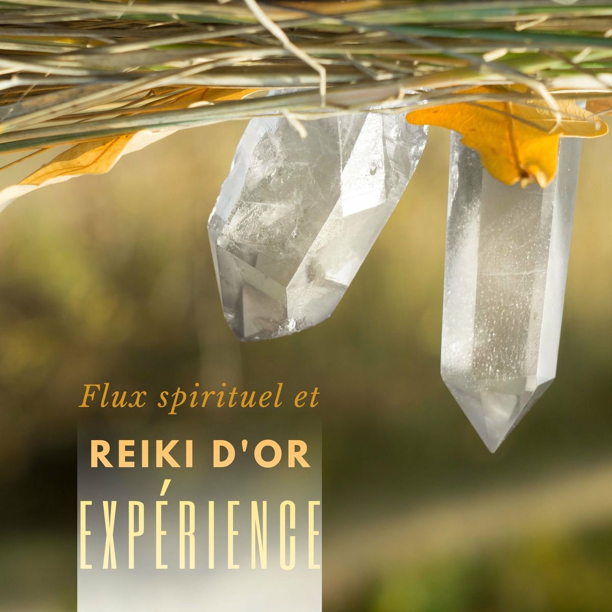 Album cover of Flux spirituel et reiki d'or expérience
