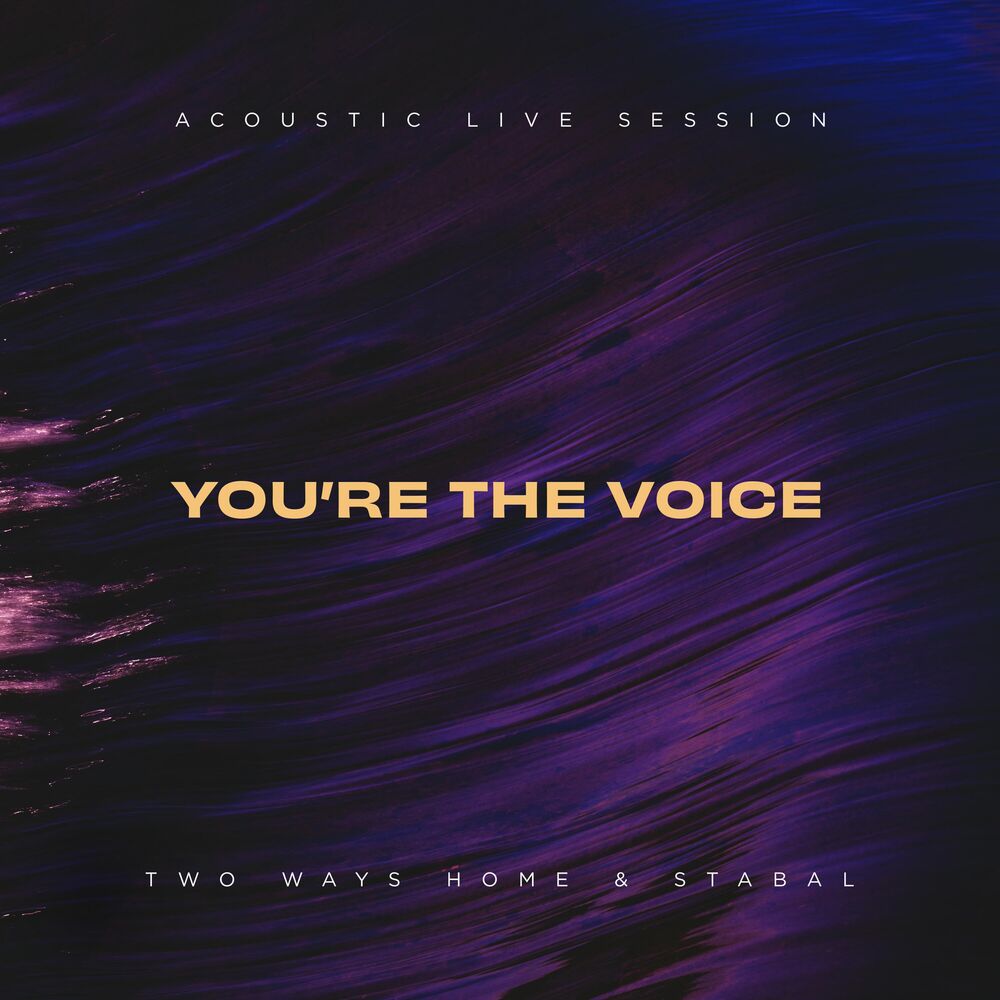 Picture of You're the Voice (Acoustic Live Session)