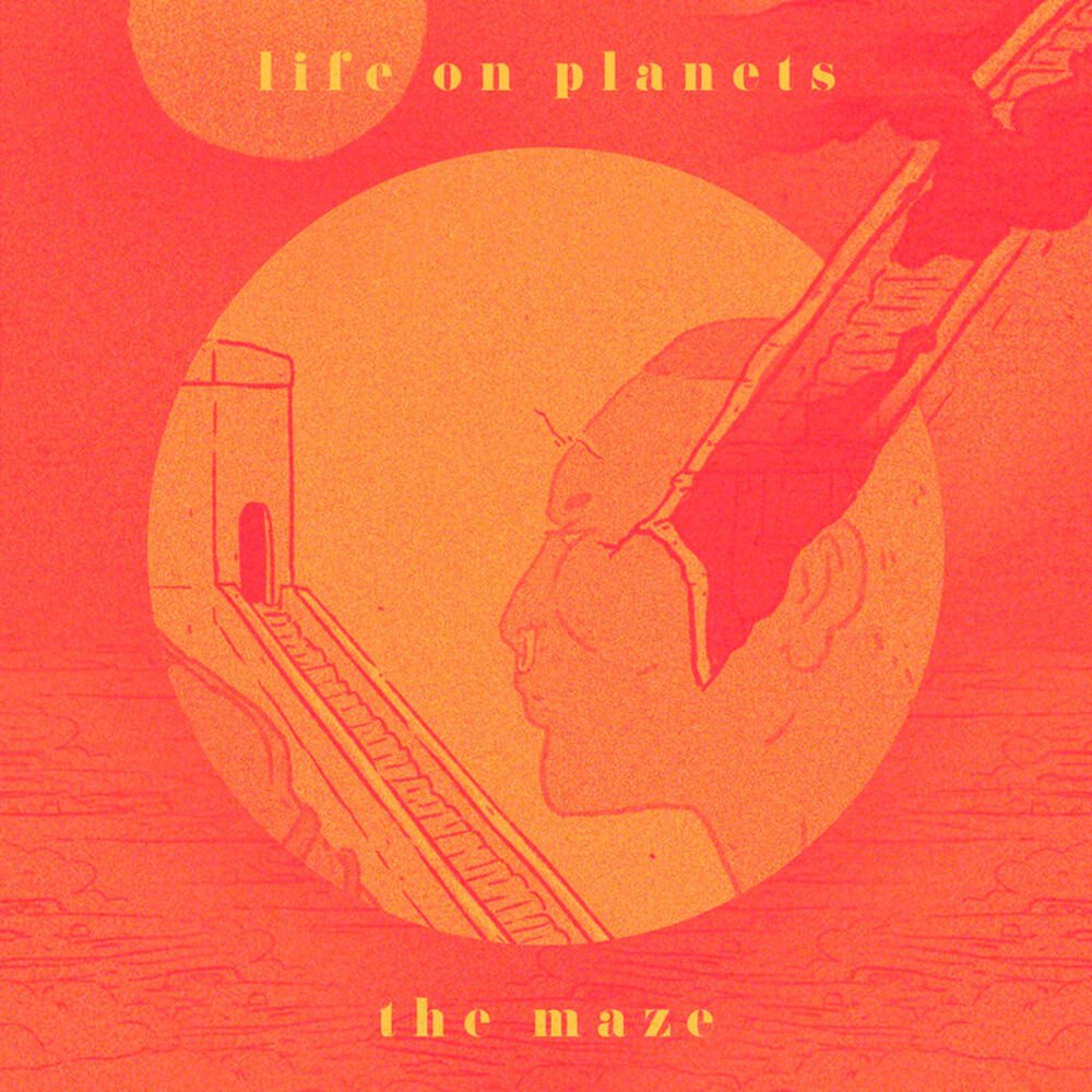 Picture of The Maze