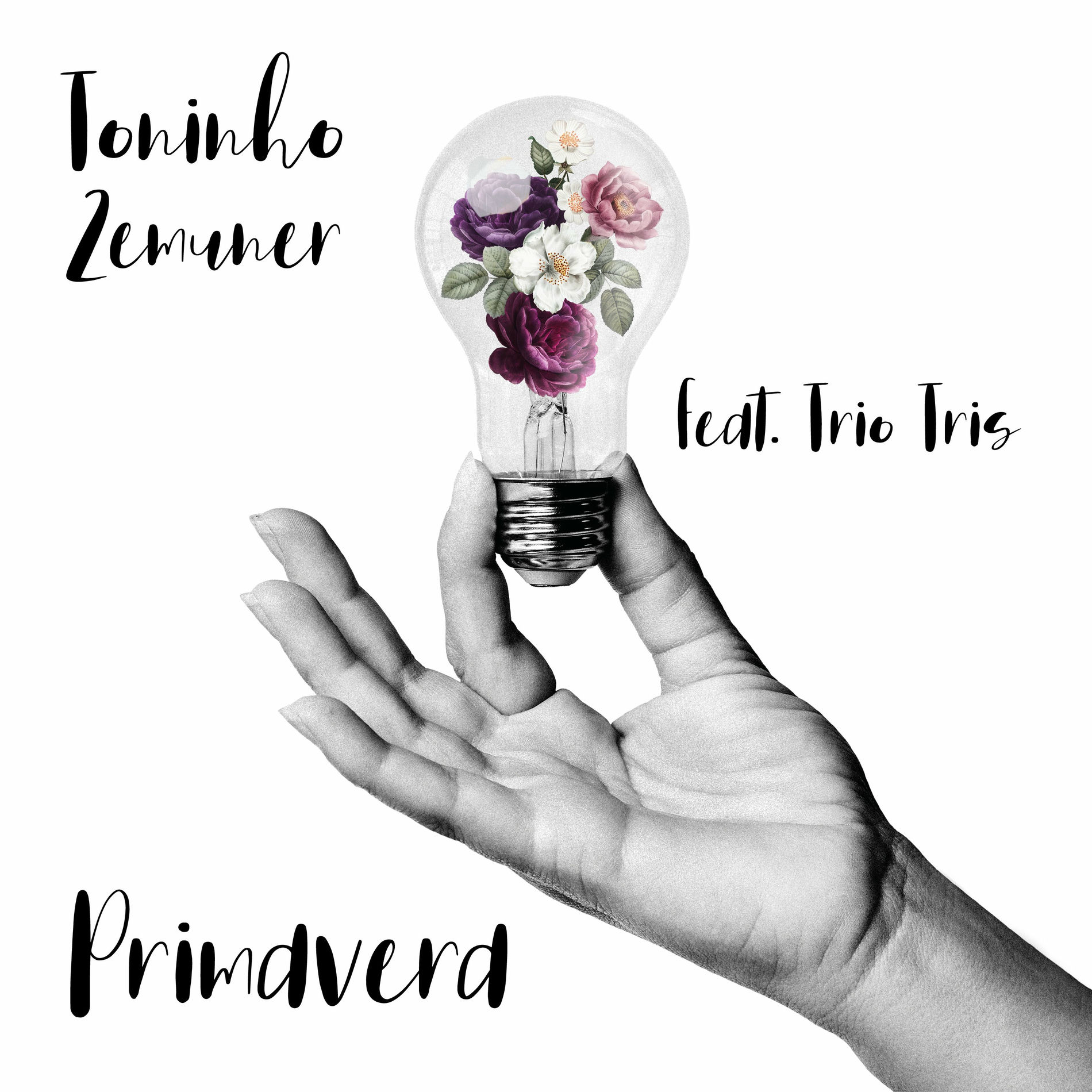 Album cover of Primavera