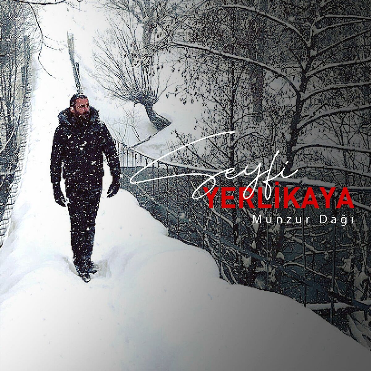 Album cover of Munzur Dağı