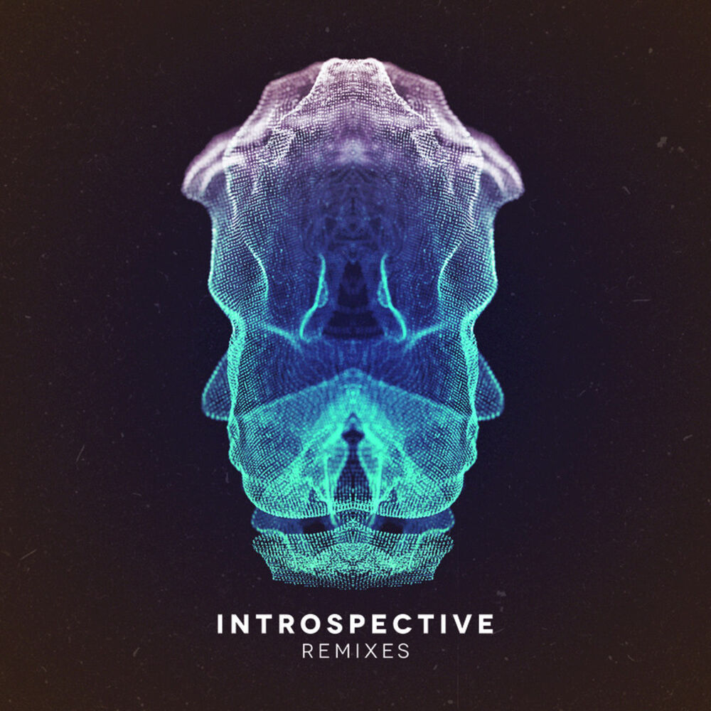 Picture of Introspective - Remixes