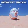 KEANU SILVA/PREZIOSO/ADALWOLF/NINKID - Moonlight Shadow (Record Mix)