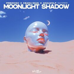Cover of Moonlight Shadow