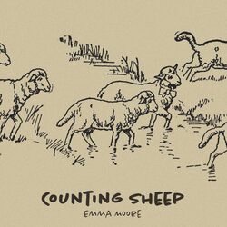 Cover of Counting Sheep