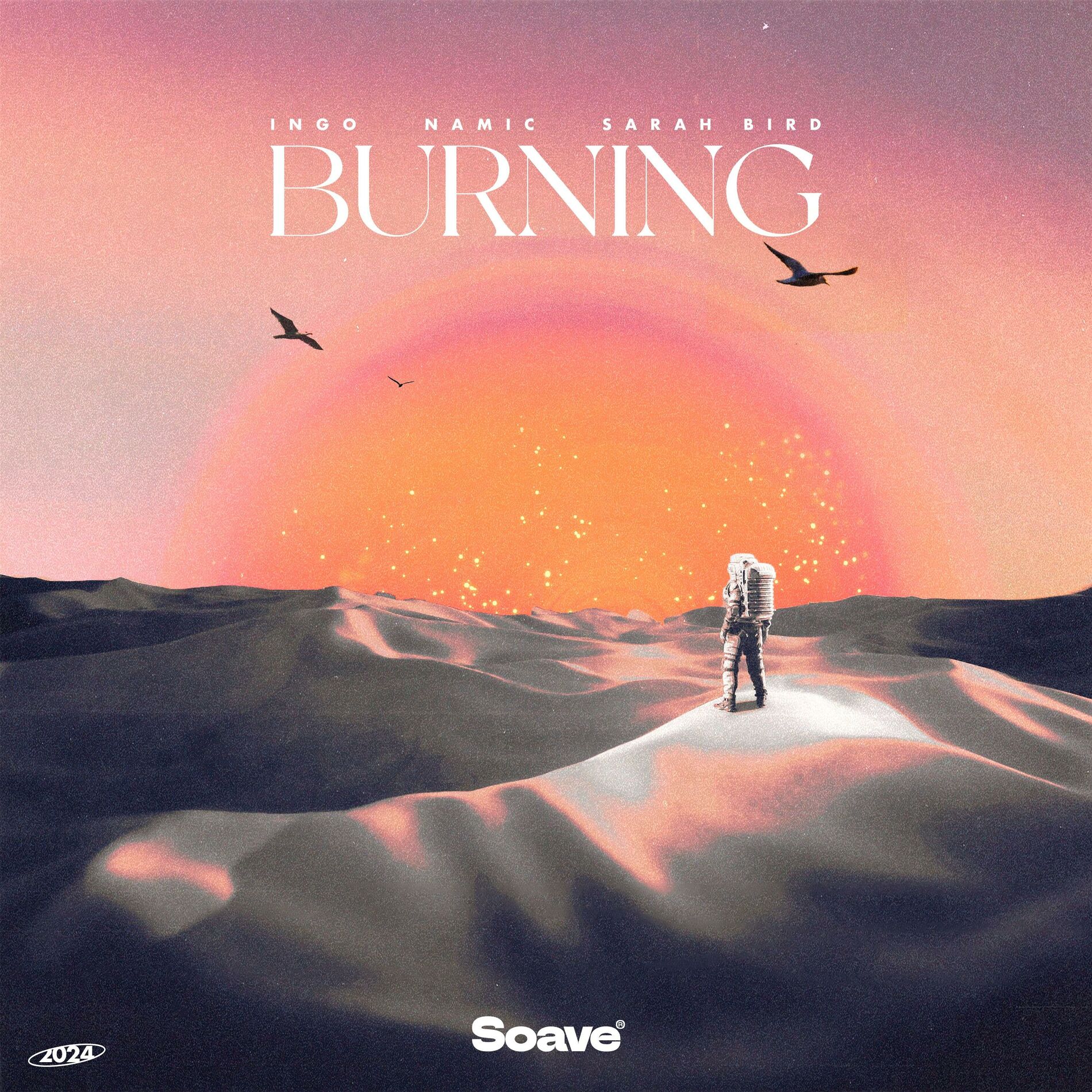 Album cover of Burning