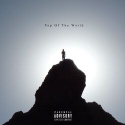 Cover of Top Of The World