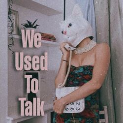 Cover of We Used to Talk